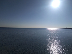 IMG_20211203_112338