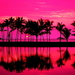 zonsondergang-reflectie-natuur-palmboom-achtergrond