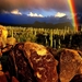saguaro-national-park-regenboog-arizona-natuur-achtergrond