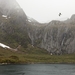 way_from_stokmarknes_to_trollfjord_norway_photographed_in_june_20