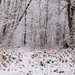 a_snowy_day_in_lviv_region_of_ukraine_in_nov_2020_photographed_by