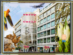 Aken hotel mercureterry carlo