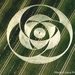 Wanted_Wankel-Rotor_RotaryStuff_CropCircle_LiddingtonCastleWiltsh