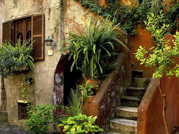 italie-kamerplant-huis-tuin-achtergrond