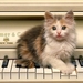 katten-kittens-muziekinstrument-piano-achtergrond