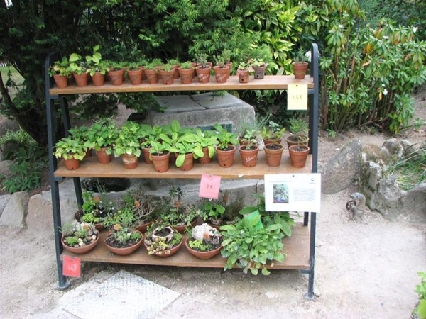 Portugal 841 Sintra (Medium)