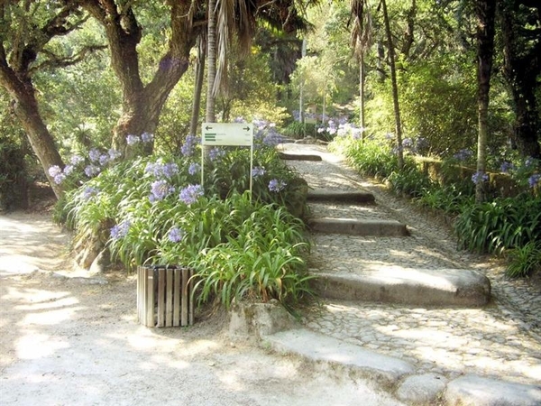 Portugal 845 Sintra (Medium)