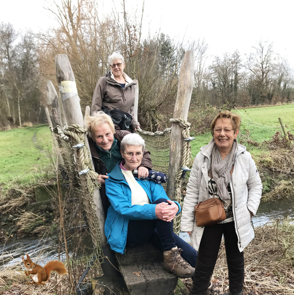 Wandeling Diepenbeek Dijken