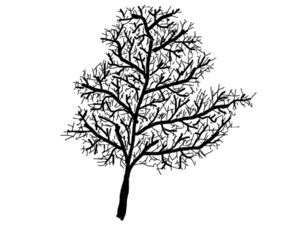 dor