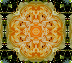 25
