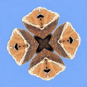 4