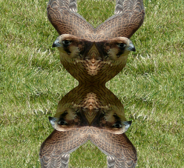 19