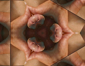 17
