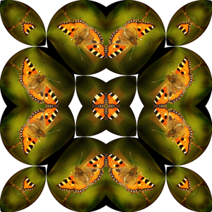 4