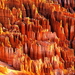 bryce-canyon-national-park-utah-verenigde-staten-van-amerika-rots