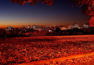 voor-dubbele-monitoren-natuur-rode-herfst-achtergrond