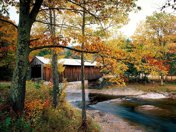 natuur-herfst-landschap-bultrug-brug-achtergrond