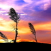 natuur-zonsondergang-horizon-wolken-achtergrond