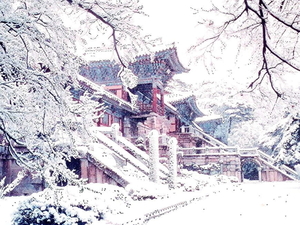 huis-sneeuw-winter-sneeuwstorm-achtergrond