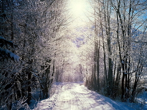 landschappen-winter-sneeuw-natuur-achtergrond