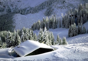 sneeuw-winter-bergen-vorst-achtergrond