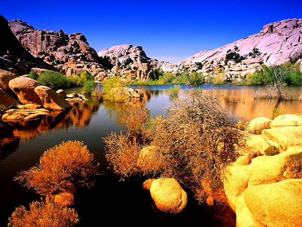 joshua-tree-national-park-natuur-herfst-landschap-californie-acht