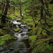 stroom-natuur-alaska-woud-achtergrond