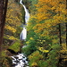 waterval-natuur-herfst-woud-achtergrond