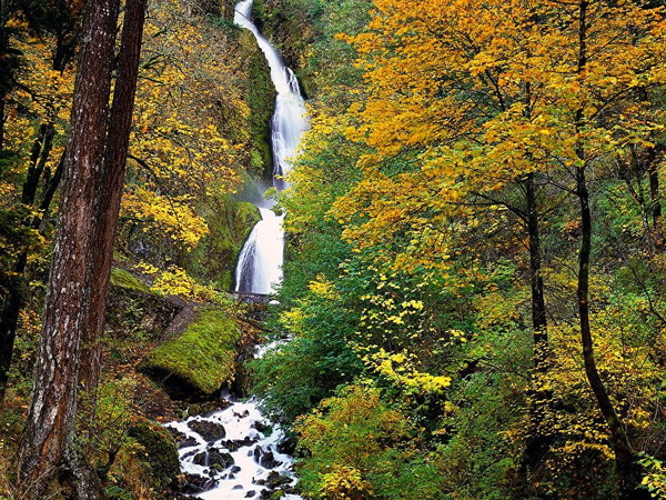 waterval-natuur-herfst-woud-achtergrond