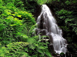 waterval-natuur-regenwoud-woud-achtergrond
