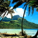 eilanden-natuur-tropen-palmboom-achtergrond