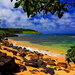 hawai-natuur-strand-kust-achtergrond