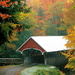 herfst-landschap-natuur-bultrug-brug-achtergrond