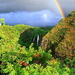 mooie-lucht-natuur-regenboog-regenwoud-achtergrond