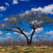 mooie-lucht-natuur-savanne-wolken-achtergrond