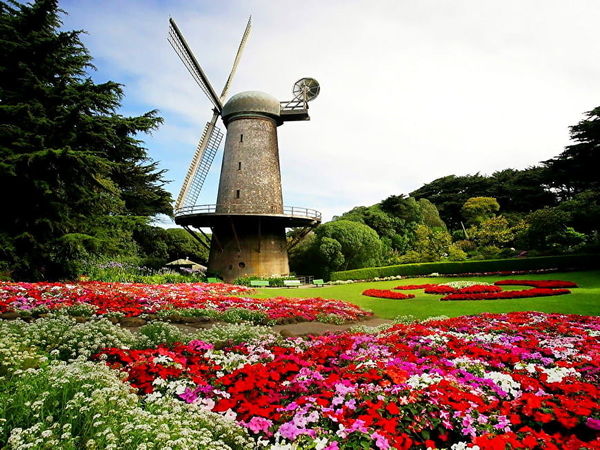 windmolen-botanische-tuin-bloemen-achtergrond