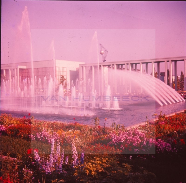 EXPO58069  [800x600]