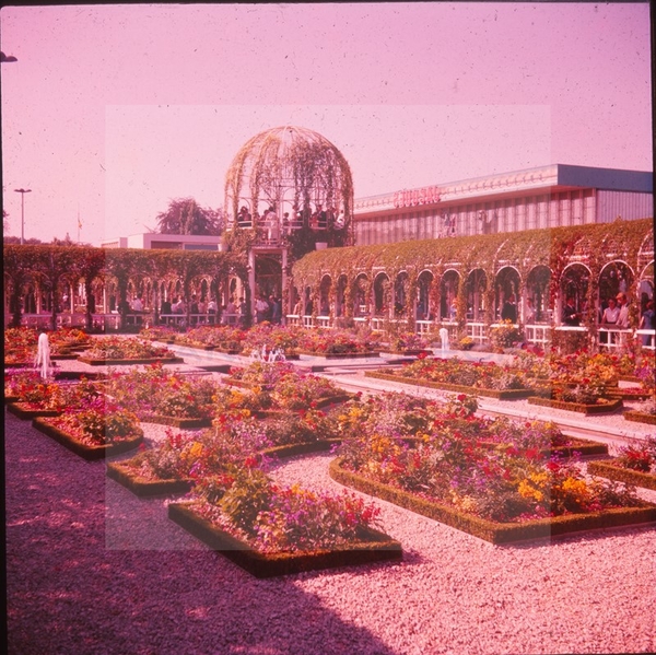 EXPO58073  [800x600]