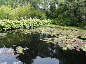 4D Inverewe Gardens _DSC00083