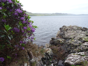 4D Inverewe Gardens _DSC00085