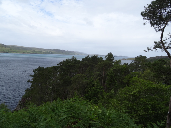4D Inverewe Gardens _DSC00097