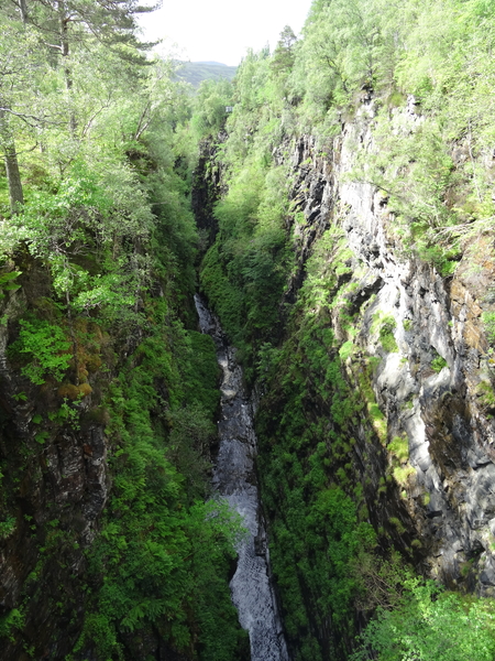 4F Corrieshalloch Gorge _DSC00119