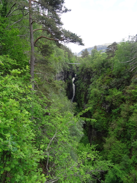 4F Corrieshalloch Gorge _DSC00124