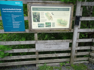 4F Corrieshalloch Gorge _DSC00126