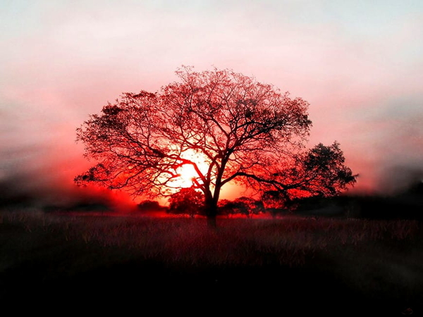 hdr-fotos-natuur-rode-ochtend-achtergrond