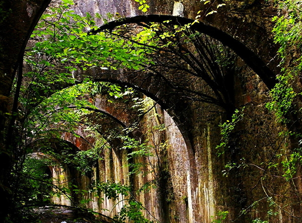 natuur-boog-woud-architectuur-achtergrond