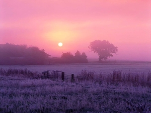 natuur-zonsopkomst-ochtend-veld-achtergrond