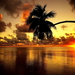 zonsondergang-natuur-horizon-palmboom-achtergrond