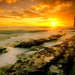 zonsopkomst-natuur-zee-strand-achtergrond