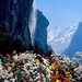 besneeuwde-bergen-natuur-bloemen-achtergrond